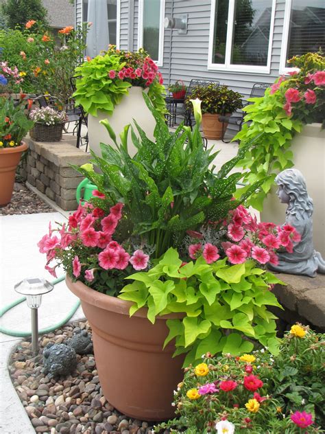 Simple Patio Shade Plants For Small Space | Home decorating Ideas