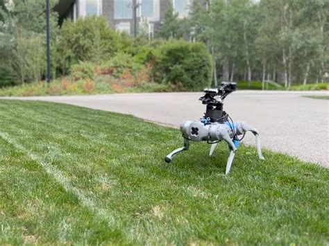 AI can teach robot dogs tricks for cheap | Popular Science