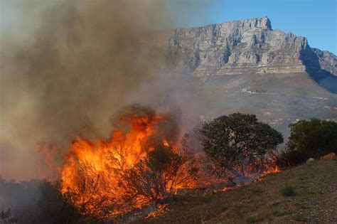 Fires fuelled by climate change | Kew