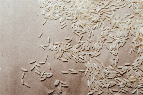 Rice 101: The Ultimate Guide to Rice - San-J