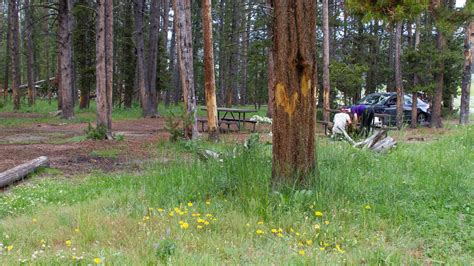 Cascade Picnic Area (U.S. National Park Service)