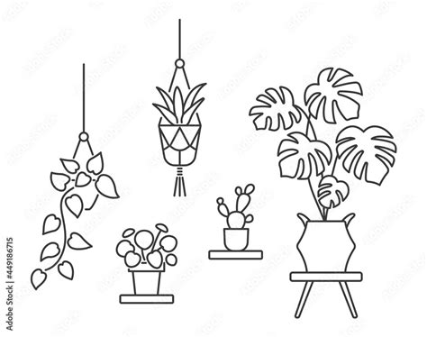 House plant line art icon. Flowers in pots. Editable Stroke Stock ...