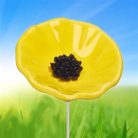 Yellow Poppy - Poppy Flowers