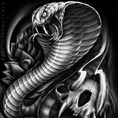 cobra snake tattoo design | Snake tattoo, Cobra tattoo, Snake tattoo design