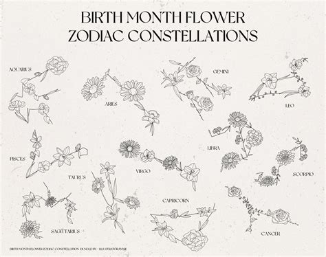 Birth Month Flower Zodiac Constellation Bundle Birth Month - Etsy | Birth flower tattoos, Birth ...