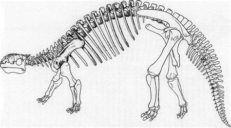 Pin on Dinosauria : Ankylosaurus