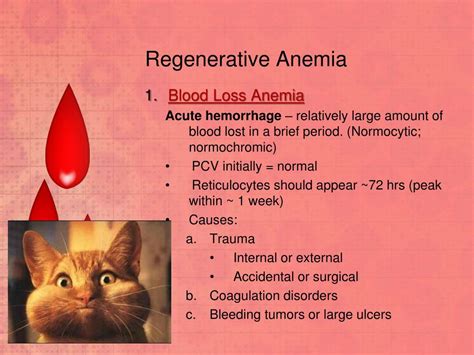 PPT - Anemia PowerPoint Presentation, free download - ID:2872585