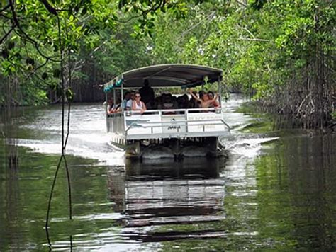 Black River Safari Eco Tour Private Transfer