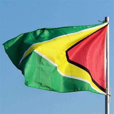 Graafix!: Flag of Guyana