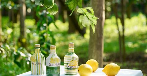 Sorrento Lemon Tour | GetYourGuide