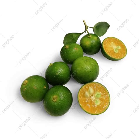 Imagen De Cítricos Calamansi PNG , Calamansi, Agrios, Fruta PNG y PSD ...