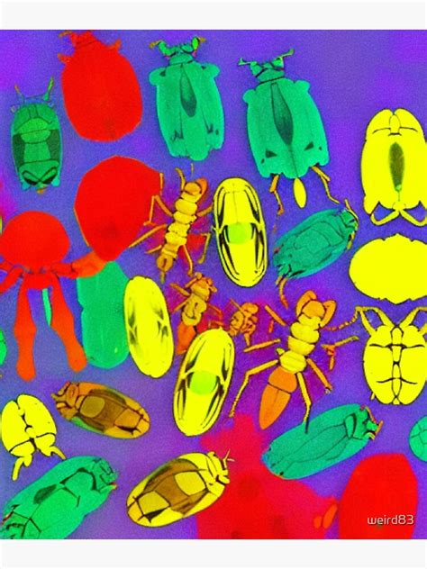 "Pretty psychedelic cute hissing Beetle bug insect lady bug legs wings larvae thorax cockroach ...