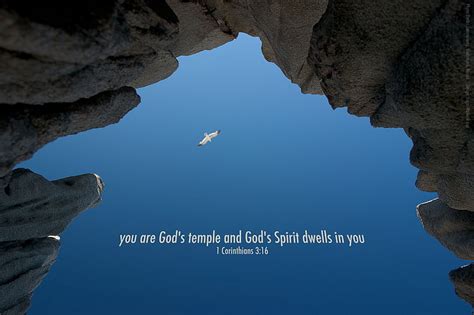 Free download | HD wallpaper: bible, bible verses, poster, quote, religion, text | Wallpaper Flare