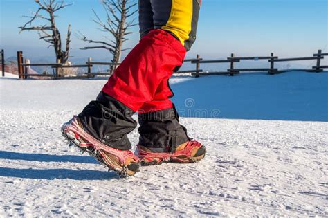 Walking on Snow with Snow Shoes and Shoe Spikes in Winter. Stock Photo ...