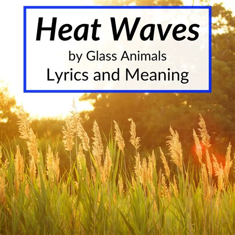 "Heat Waves" Lyrics & Meaning (Glass Animals)