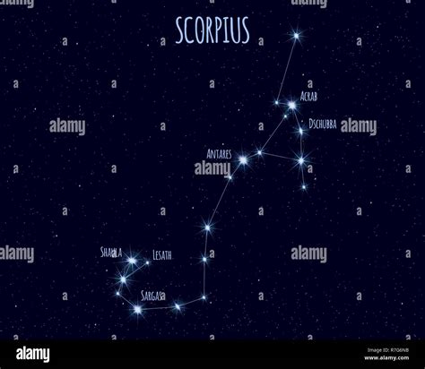 Scorpius (The Scorpion) constellation, vector illustration with the ...