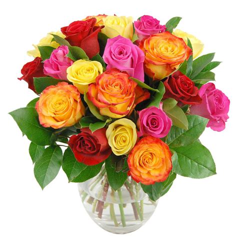 Rainbow Roses | Taboo