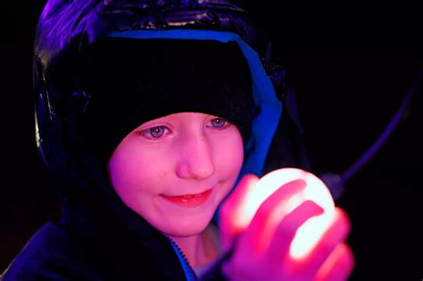 Luminate at Margam Park: Best pictures as the festive light show opens ...