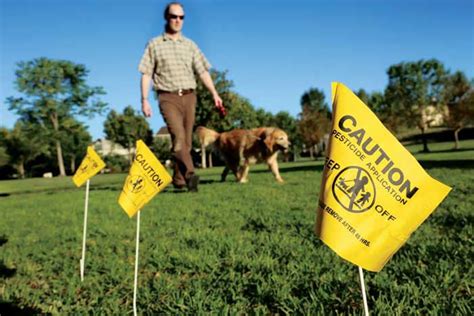 Custom Marking Flags, 4" X 5" | 1,000 Mini Flags/Case | BMC