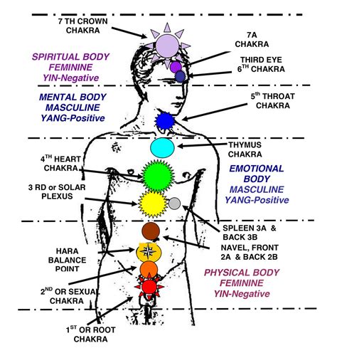 Activate the 7 Chakras With This Powerful Chakra Meditation