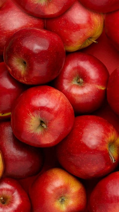 Red apples | Fruit photography, Red apple, Fruit wallpaper