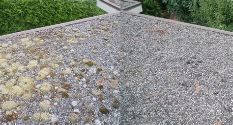 Tar & Gravel Roof Cleaning & Maintenance in Vancouver | Rotban