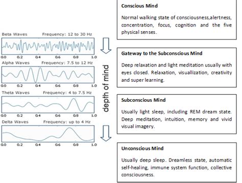 Various EEG wave patterns. | Download Scientific Diagram