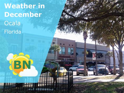 December Weather in Ocala, Florida – 2024 – Winter Sun Expert