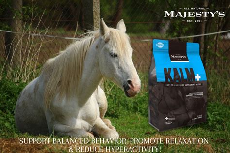 Majesty’s Kalm+ Wafer in 2021 | Horses, Nervous system function, Horse treats