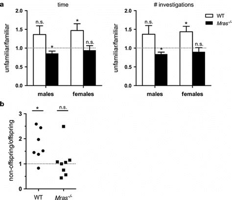 Evidence for defective vomeronasal function in Mras−/− mice. a Urine... | Download Scientific ...