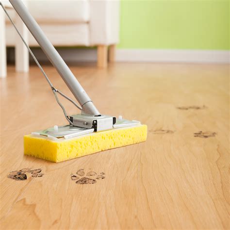 Cleaning tips for floors - keep your floors sparkling clean - Good ...