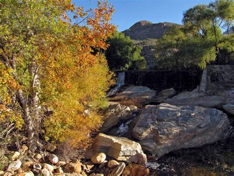 Desert Colors: November 2011