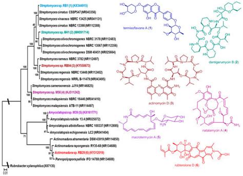 Antibiotics | Special Issue : Actinomycetes: The Antibiotics Producers