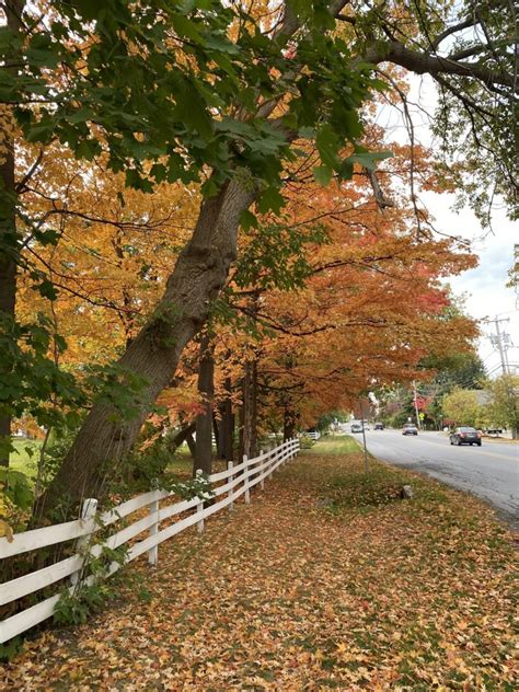 Fall in Vermont | Fall Foliage Getaways in New England - Swift House Inn