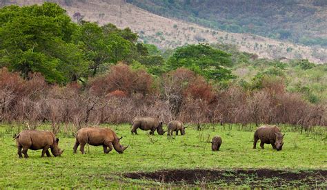 Ngorongoro Conservation Area - The Expert Holidays