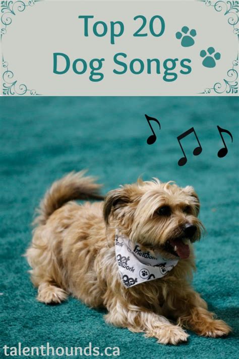 20 Top Songs About Dogs - Talent Hounds