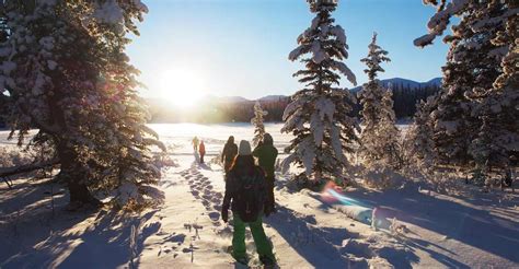 Whitehorse: Half-Day Snowshoeing Tour | GetYourGuide