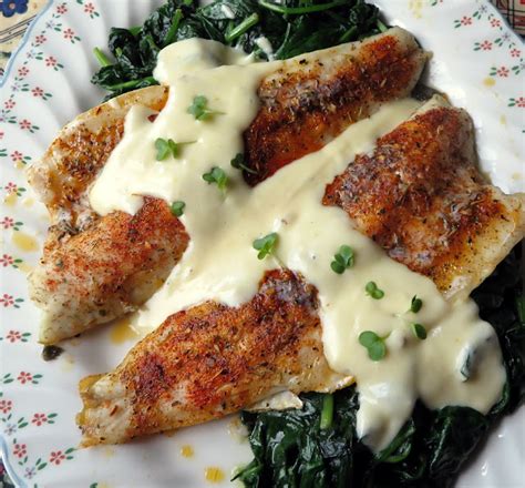 Roasted Sea Bass with a Lemon Parmesan Cream | The English Kitchen