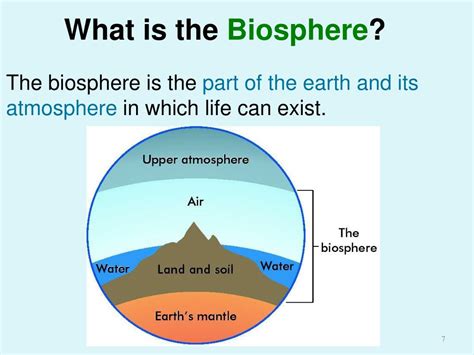 Biosphere Definition