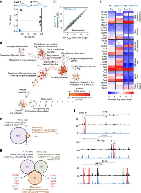 The expression of only a small set of genes in Treg cells is altered by ...