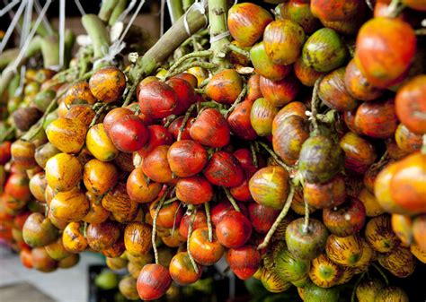 The delicious fruit of Costa Rica: know your anona from your zapote ...