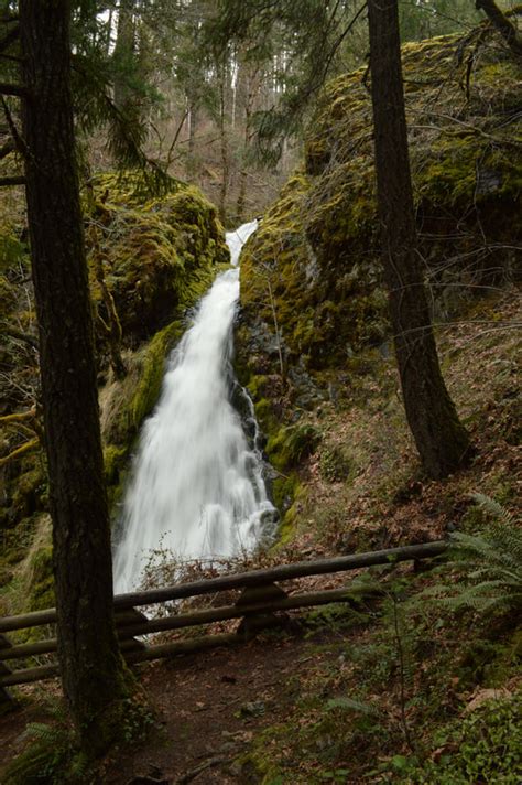 Fall Creek Falls - Hike Oregon