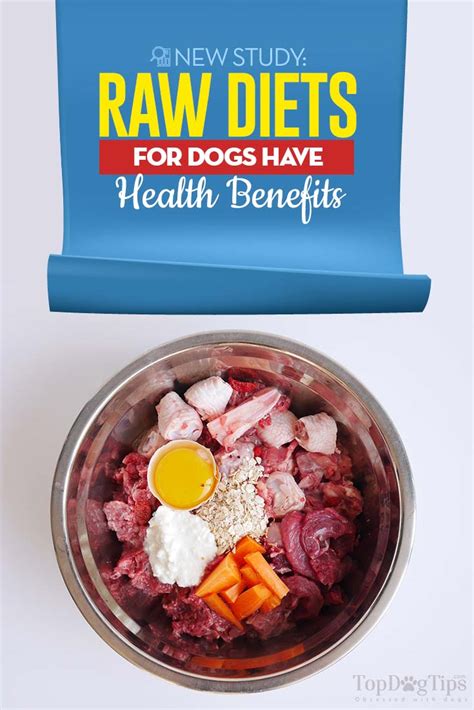 Raw Diets for Dogs Have Health Benefits, New Study Suggests – Top Dog Tips