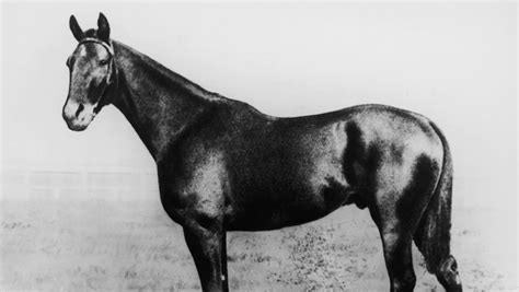 Kentucky Derby Winners 1875-1899 [Gallery]