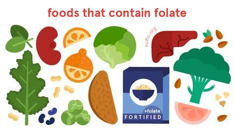 Folate: foods, functions, how much do you need & more | Eufic