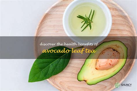 Discover The Health Benefits Of Avocado Leaf Tea | ShunCy