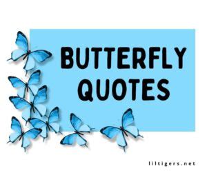 110 Inspiring Butterfly Quotes for Kids - Lil Tigers