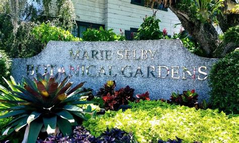 Visit Marie Selby Gardens In Florida To See Thousands Of Flowers