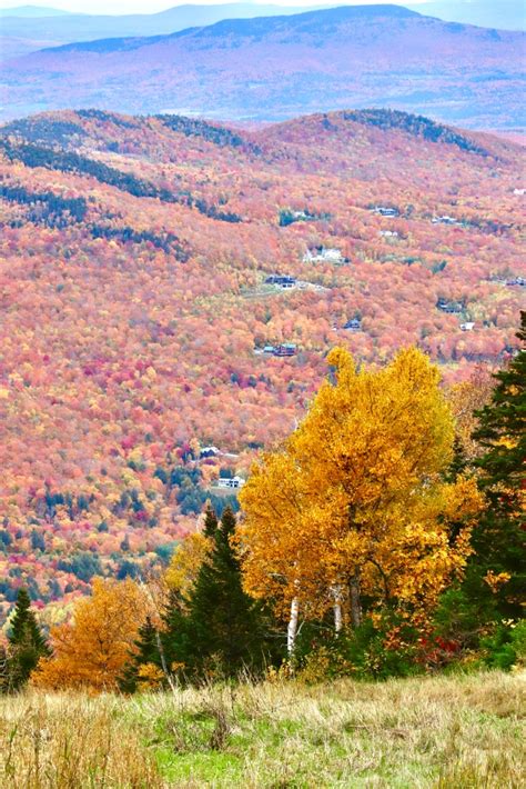 Stowe, Vermont Fall Foliage, Oct. 11, 2019 – Ryan Arel