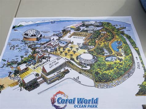 CORAL WORLD | affordable adventures for all - Susie and Regina Adventures